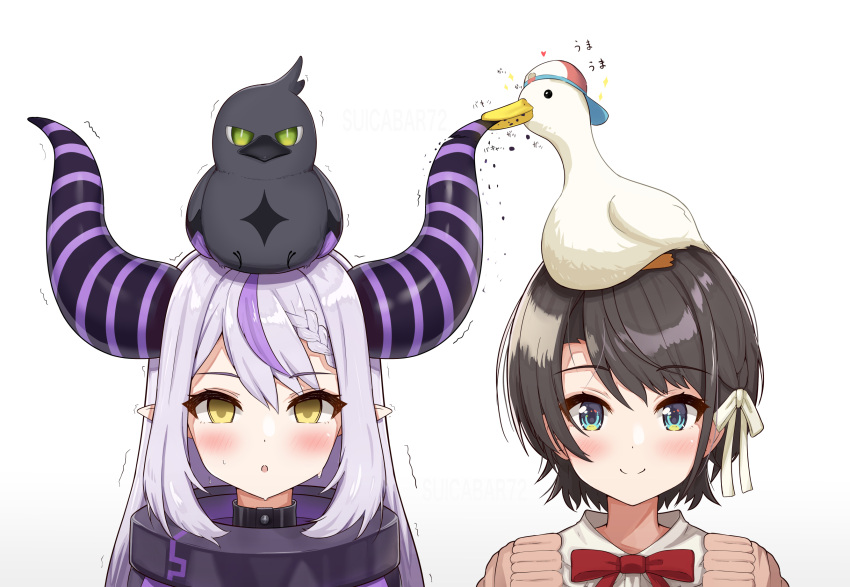 2girls animal_on_head artist_name bird bird_on_head biting blue_eyes blush bow bowtie brown_hair closed_mouth collar commentary_request crow_(la+_darknesss) demon_horns duck hair_ribbon highres hololive horns la+_darknesss long_hair looking_at_viewer metal_collar multicolored_hair multiple_girls on_head oozora_subaru parted_lips pointy_ears portrait purple_hair red_bow red_bowtie ribbon short_hair silver_hair simple_background smile sound_effects streaked_hair subaru_duck suicabar72 sweat translation_request virtual_youtuber white_background white_ribbon yellow_eyes