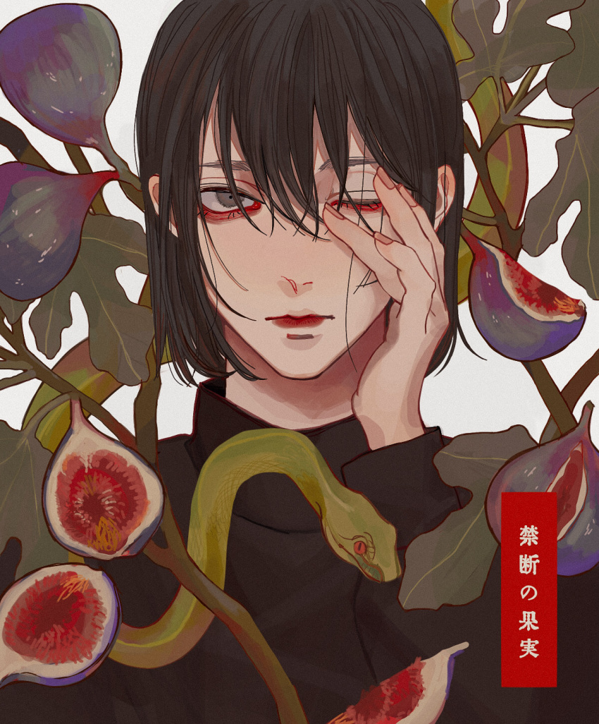 1boy bangs bishounen black_hair black_shirt bob_cut brown_eyes closed_mouth fig fig_leaf fingernails food fruit hair_between_eyes hand_on_own_face highres kagoya1219 leaf long_sleeves looking_at_viewer male_focus one_eye_closed original plant shirt short_hair snake solo translated turtleneck upper_body white_background