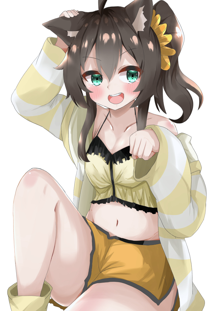 1girl absurdres animal_ears bangs blush brown_hair camisole cat_ears frilled_camisole green_eyes hair_between_eyes halterneck hand_on_ear highres hololive jacket kudryavka_vt long_sleeves looking_to_the_side medium_hair natsuiro_matsuri navel open_mouth orange_shorts paw_pose scrunchie short_shorts shorts side_ponytail simple_background sitting smile socks solo striped striped_jacket teeth upper_teeth virtual_youtuber white_background white_jacket yellow_camisole yellow_jacket yellow_legwear yellow_scrunchie