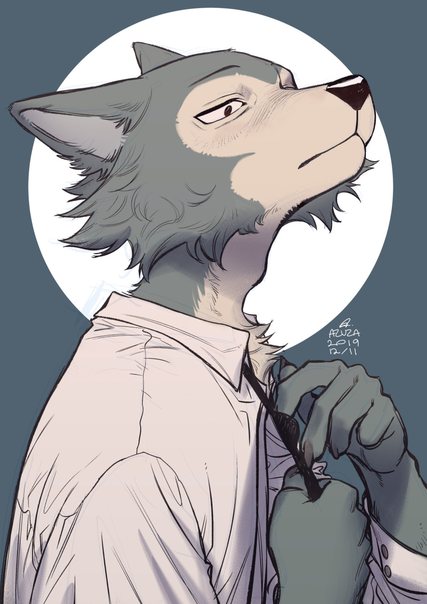 2019 5_fingers absurd_res anthro azuza beastars blue_body blue_fur canid canine canis claws clothed clothing dated dress_shirt finger_claws fingers fur hi_res legoshi_(beastars) male mammal necktie shirt solo tan_body tan_fur topwear white_clothing white_shirt white_topwear wolf