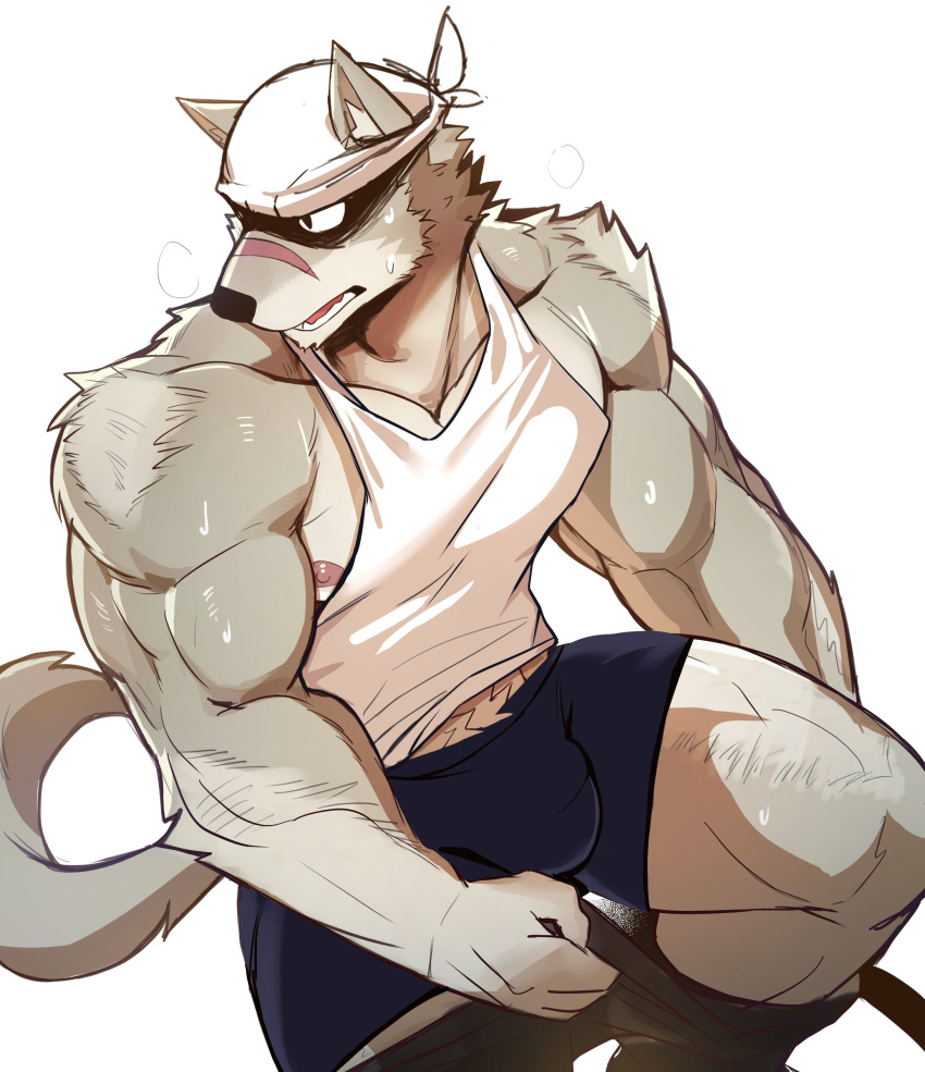 2021 anthro biceps bottomwear canid canine clothed clothing fur headgear headwear hi_res male mammal mono_g multicolored_body multicolored_fur muscular muscular_anthro muscular_male nipples scar shirt solo tank_top topwear