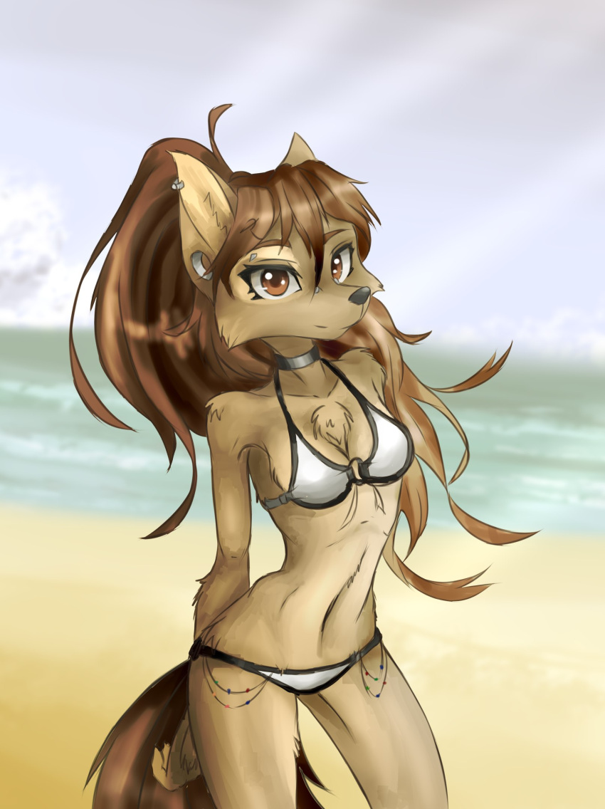 anthro apogee_(tinygaypirate) beach bikini black_nose breasts brown_body brown_eyes brown_fur brown_hair canid canine canis cheek_tuft chest_tuft choker cleavage clothed clothing day domestic_dog ear_piercing eyebrow_piercing eyelashes facial_piercing facial_tuft female fur furgonomics furry-specific_piercing gauged_ear hair hands_behind_back hi_res inner_ear_fluff jewelry long_hair looking_at_viewer mammal muzzle_piercing navel necklace nose_piercing outside piercing ponytail seaside smile solo spitz standing swimwear tinygaypirate tuft water