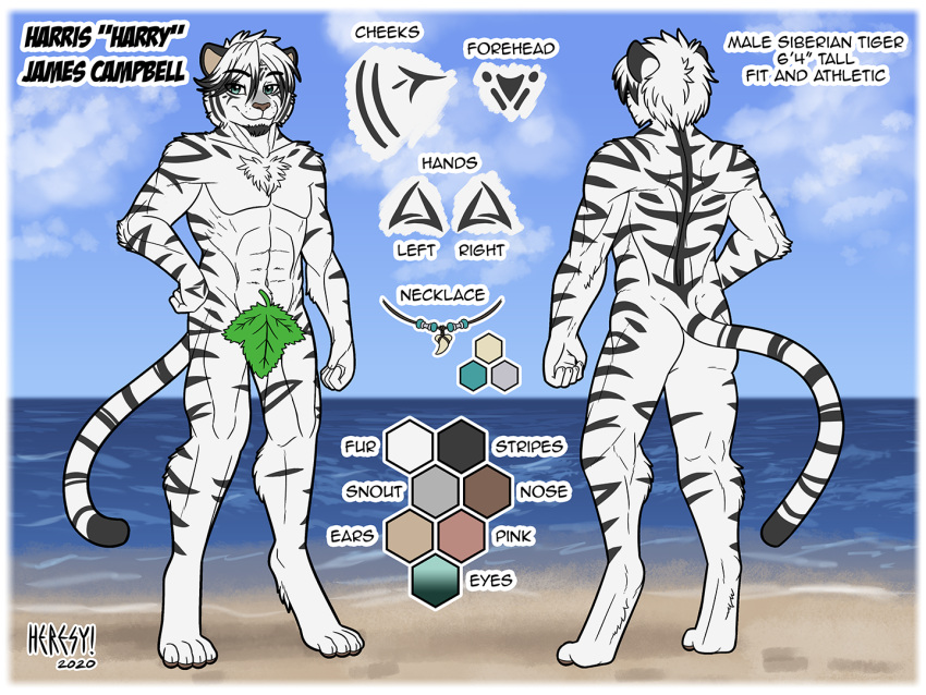 2020 4:3 abs anthro athletic athletic_anthro athletic_male back_muscles beach border butt casual_nudity digital_media_(artwork) english_text felid fur harry_campbell heresy_(artist) jewelry leaf_censor male mammal model_sheet muscular necklace nude outside pantherine rear_view sea seaside signature striped_body striped_fur stripes text tiger water white_body white_border white_fur