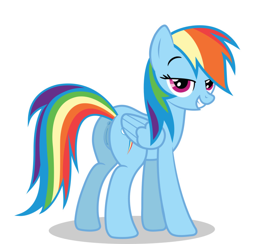 absurd_res alpha_channel animal_genitalia animal_pussy butt canon equid equine_pussy female friendship_is_magic genitals hasbro hi_res mammal my_little_pony nardo_(artist) pussy rainbow_dash_(mlp) simple_background solo vector