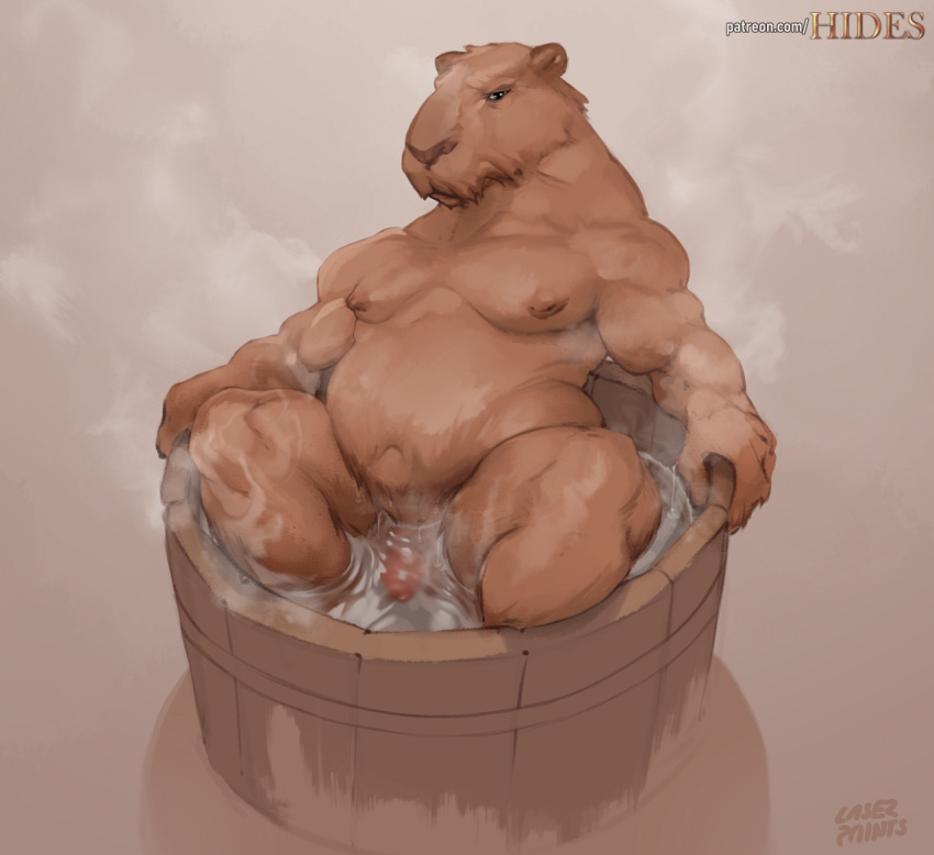 2021 anthro bathtub biped brown_body brown_fur capybara caviid digital_media_(artwork) fur genitals laser_(artist) looking_at_viewer male mammal musclegut muscular muscular_anthro muscular_male partially_submerged pecs penis rodent simple_background solo white_background