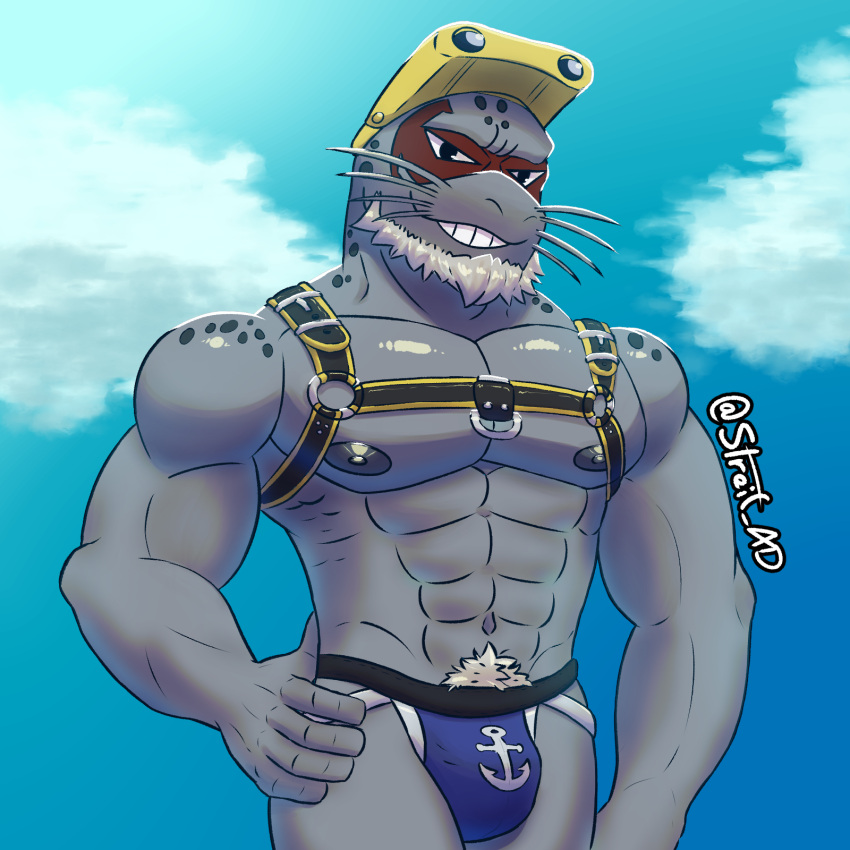 1:1 anthro clothing eyewear goggles harness hi_res jockstrap male mammal marine muscular muscular_male my_hero_academia pinniped pinup pose seal selkie_(my_hero_academia) simple_background sky solo solo_focus spotted_seal streif tagme underwear