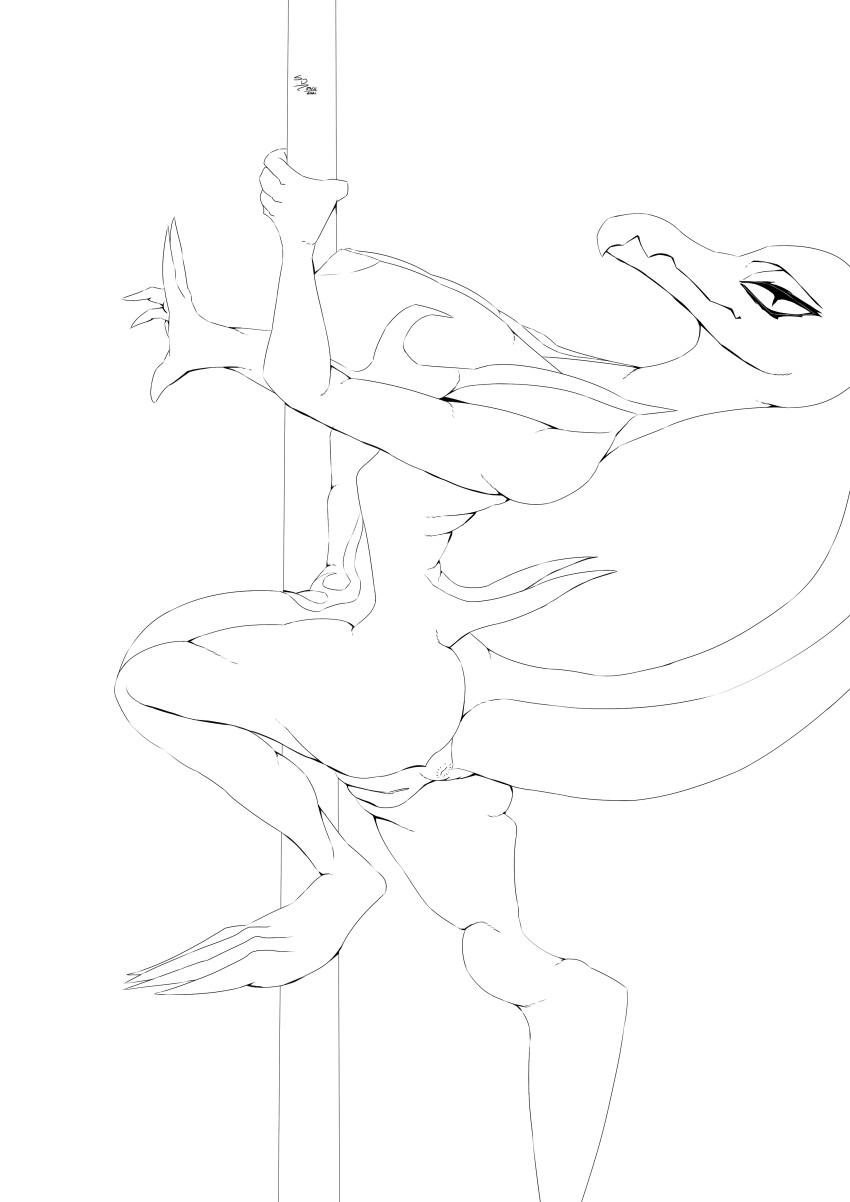 2021 absurd_res anthro anus big_breasts black_and_white breasts butt dancing digital_drawing_(artwork) digital_media_(artwork) exercise female genitals hi_res looking_at_viewer monochrome nintendo nipples nude pok&eacute;mon pok&eacute;mon_(species) pole pole_dancing pussy reptile salazzle scalie scarlet_dragoon signature simple_background solo stripper_pole video_games workout