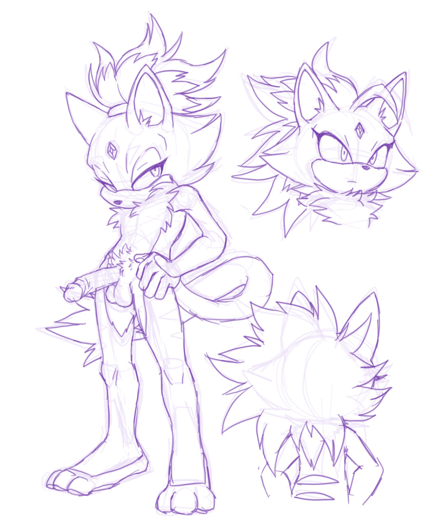 anthro balls blaze_the_cat crossgender forehead_gem genitals hi_res male nowykowski7 nude penis pubes sega sketch solo sonic_the_hedgehog_(series)