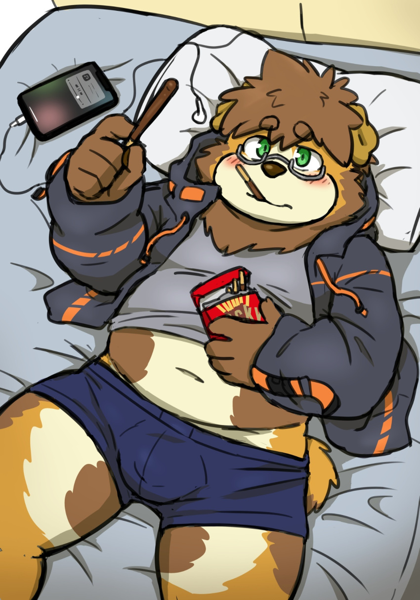 2021 anthro bed brown_body brown_fur bulge canid canine canis cellphone clothing detailed_background domestic_dog eating eyewear food fur furniture glasses green_eyes hi_res humanoid_hands kemono lying male mammal navel overweight overweight_male phone pillow pocky reddo12340 smartphone solo underwear young