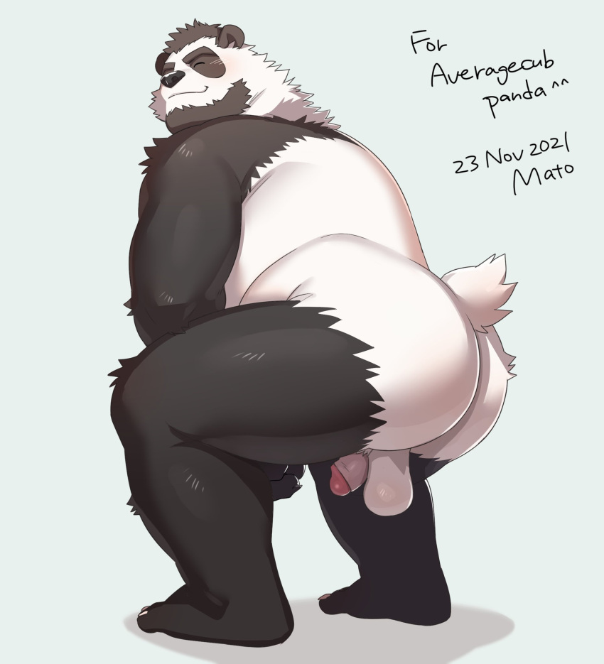 2021 anthro balls black_body black_fur black_nose blush butt english_text eyes_closed fur genitals giant_panda hi_res humanoid_genitalia humanoid_penis kemono male mammal matotoma overweight overweight_male penis simple_background solo text ursid white_body white_fur