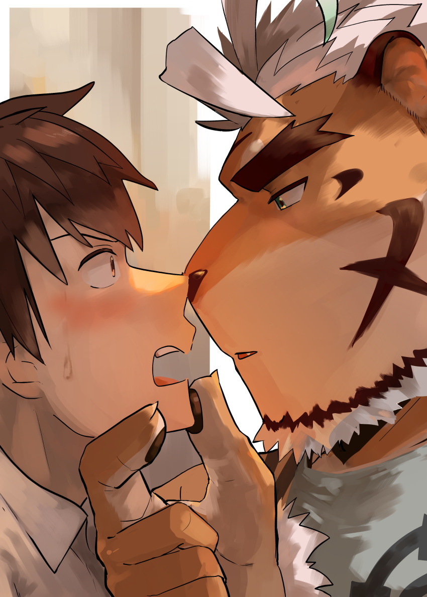 2boys absurdres ahoge animal_ears bara beard blue_eyes blush couple eye_contact face facial_hair from_side furry furry_male furry_with_non-furry grabbing_another's_chin hand_on_another's_chin highres hombre_tigre_(housamo) imminent_kiss interspecies looking_at_another male_focus master_4_(housamo) multiple_boys noses_touching saikorodekimeru short_hair sweatdrop thick_eyebrows tiger_boy tiger_ears tokyo_afterschool_summoners upper_body white_hair yaoi