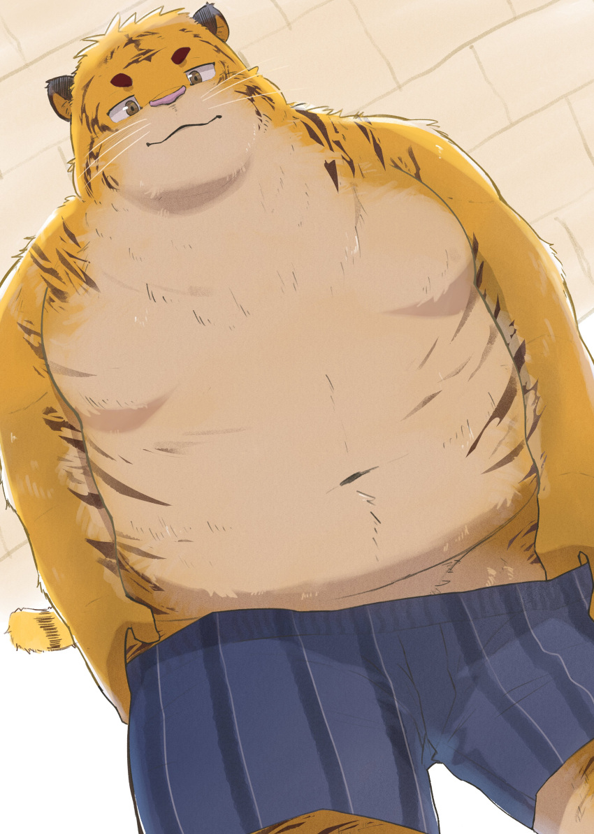 2021 absurd_res anthro belly clothing en_1_9 felid hi_res humanoid_hands kemono male mammal moobs navel overweight overweight_male pantherine pink_nose solo tiger underwear undressing