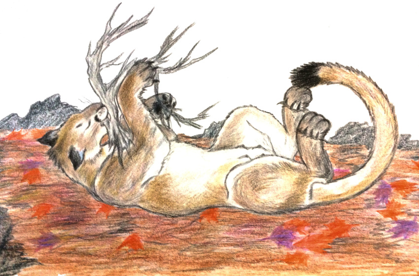 absurd_res belly brown_body brown_fur dragoness31 felid feline female feral fur hi_res lying lynx mammal nipples on_back playing solo white_belly