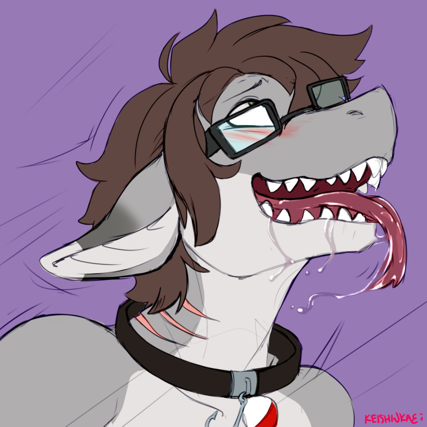 ahegao anthro blush collar eyewear fish gills glasses hair hi_res keishinkae looking_pleasured male marine reef_shark requiem_shark shark simple_background solo tongue tongue_out veskie whitetip_reef_shark