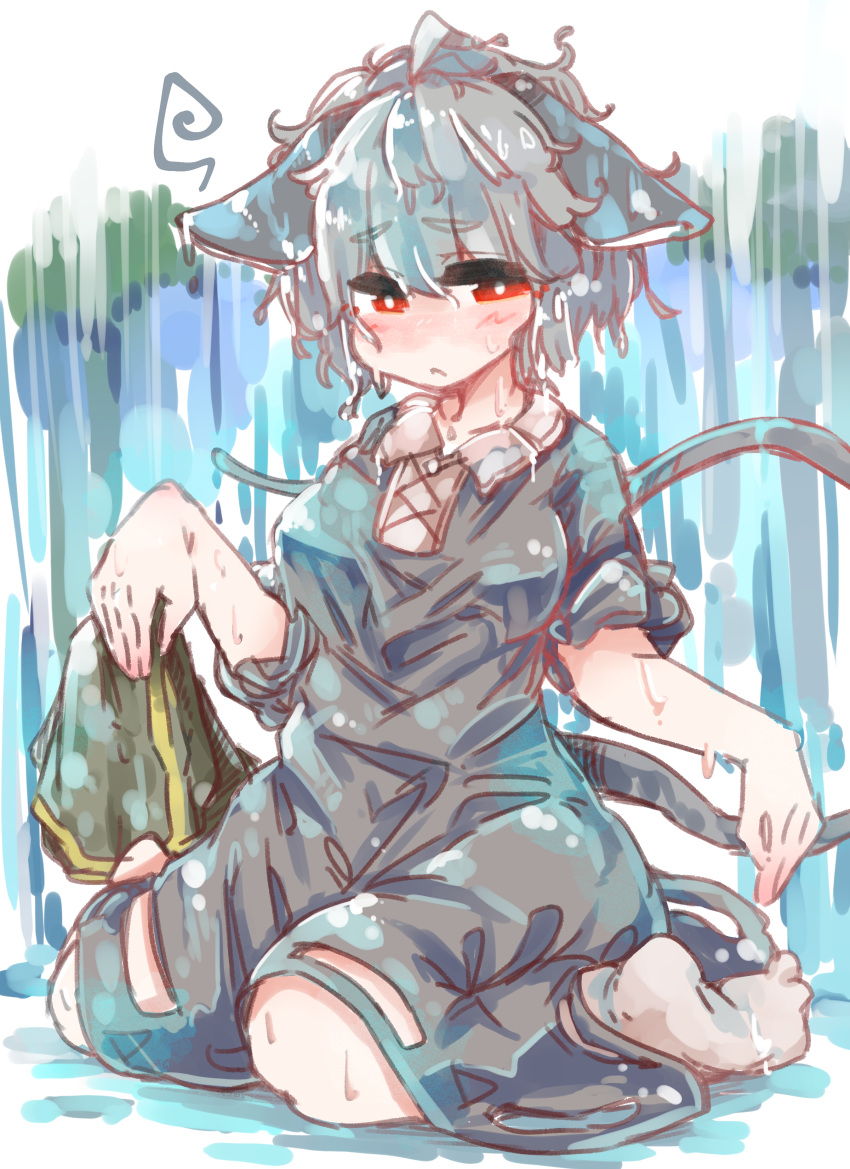 absurd_res ahoge animal_humanoid blush breasts capelet clothed clothing dress female footwear grey_hair hair hi_res humanoid mammal mammal_humanoid mouse_humanoid murid murid_humanoid murine murine_humanoid nazrin red_eyes rodent rodent_humanoid sabitare short_hair sitting socks solo touhou video_games water wet wet_clothing wet_hair