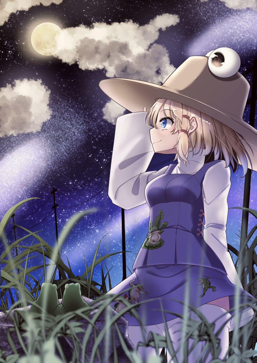 1girl animal_print arm_at_side bangs blonde_hair blue_eyes blush breasts brown_headwear cloud commentary_request cross-laced_clothes frog frog_print full_moon grass hair_ribbon high_collar highres long_sleeves looking_to_the_side medium_breasts moon moriya_suwako night onkona_minazuki purple_vest pyonta red_ribbon red_rope ribbon rock rope shirt short_hair sidelocks sky smile solo standing star_(sky) starry_sky thighhighs touhou tress_ribbon utility_pole vest white_legwear white_shirt