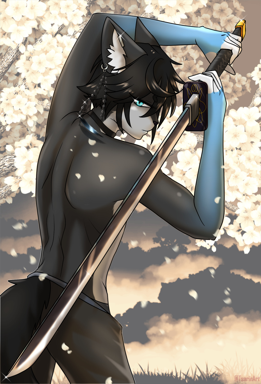 4322chan anthro black_body black_fur black_hair blue_body blue_eyes blue_fur cherry cherry_blossom clothed clothing collar detailed_background domestic_cat ear_piercing felid feline felis food fruit fur hair hi_res katana looking_at_viewer male mammal melee_weapon partially_clothed piercing plant serious_face solo sword weapon