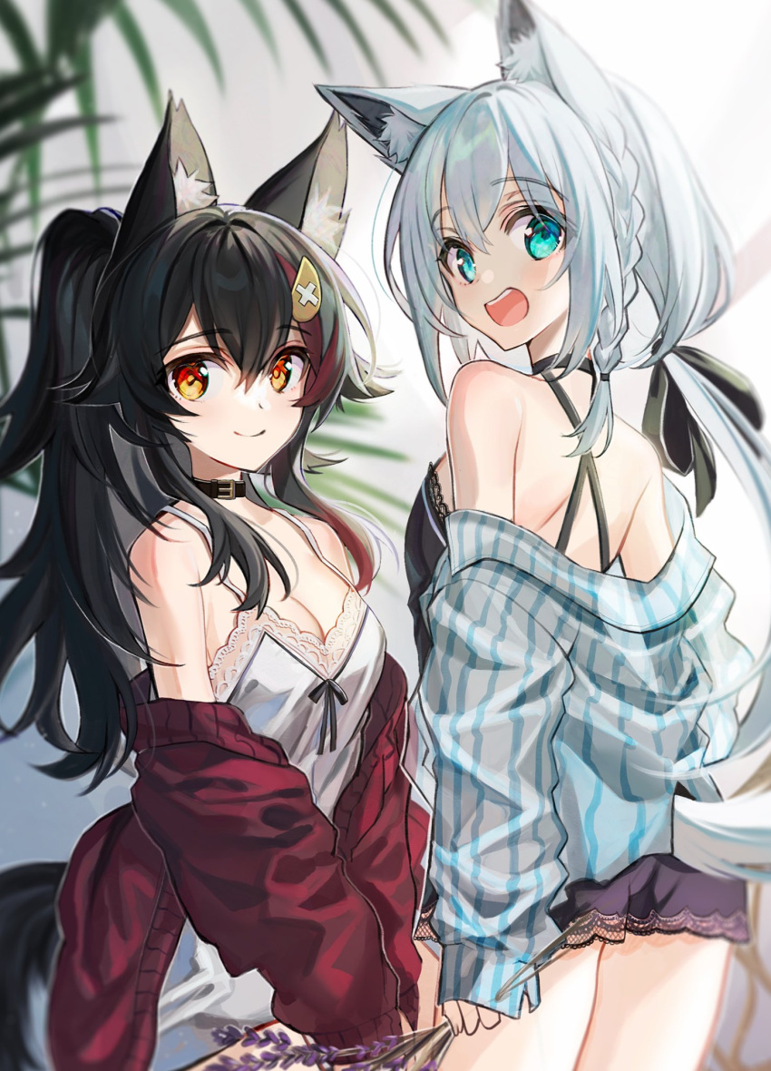 2girls :d animal_ears back bare_shoulders black_choker black_hair black_shirt braid breasts camisole choker cleavage cowboy_shot fox_ears fox_girl fox_tail green_eyes highres holding hololive jacket kawachi_rin long_hair long_sleeves looking_at_viewer low_ponytail medium_breasts multiple_girls off_shoulder ookami_mio open_clothes open_jacket ponytail red_eyes red_jacket shirakami_fubuki shirt sleeveless sleeveless_shirt smile spaghetti_strap tail virtual_youtuber white_hair white_jacket white_shirt wolf_ears wolf_girl wolf_tail