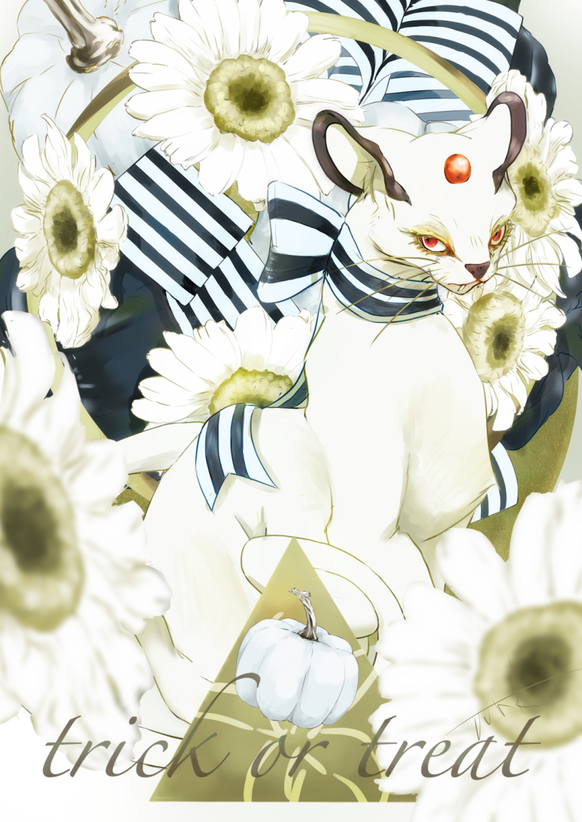 blurry closed_mouth commentary_request eyelashes fangs fangs_out flower highres jijineko no_humans persian pokemon pokemon_(creature) red_eyes ribbon trick_or_treat white_flower