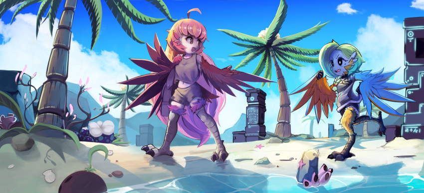 2girls ahoge animal_ears bag bangs beach bird_ears bird_legs black_eyes black_shorts blue_feathers blue_wings braid brown_eyes brown_skirt brown_tank_top cloud coco_(eogks) coconut green_hair harpy highres jogging long_hair looking_at_another mako_(eogks) midriff monster_girl multiple_girls navel nn_(eogks) open_mouth orange_feathers orange_hair orange_wings original palm_tree plant red_feathers red_wings satchel seashell shell short_hair shorts siblings sisters skirt sky talons tank_top tree two-tone_wings very_long_hair water winged_arms wings