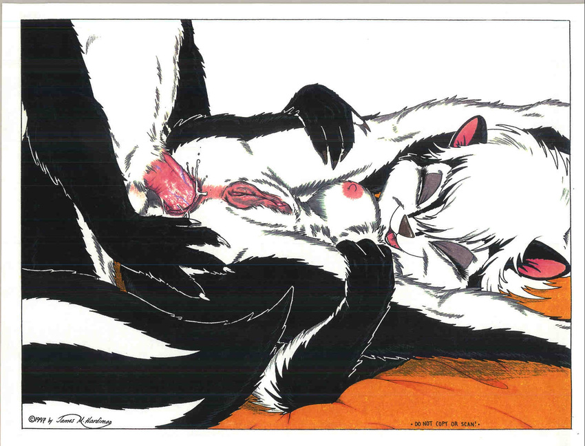 anal furry james_harrdiman(artist) james_m_hardiman pussy skunk skunkworks spread_legs