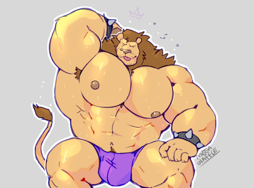 2021 abs anthro armpit_hair barazoku big_bulge big_muscles blep bodily_fluids body_hair bracelet bulge clothing duke_(megawaffle) eyes_closed felid fur grey_background hand_behind_head hi_res huge_muscles jewelry lion male mammal mane megawaffle_(artist) muscular muscular_anthro muscular_male navel nipples obliques pantherine pecs pubes signature simple_background sitting smile solo spiked_bracelet spikes sweat tongue tongue_out tuft underwear wet wet_body wet_fur