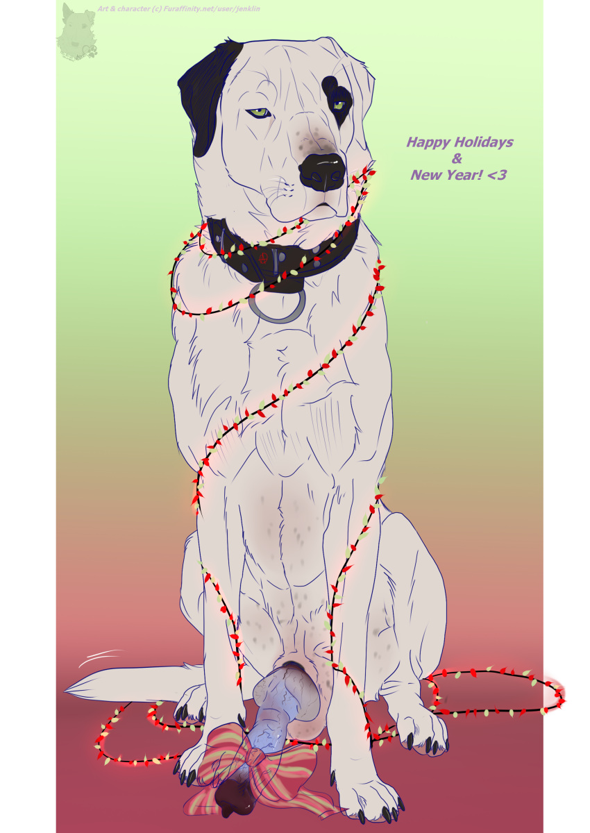 &lt;3 2021 absurd_res anatomically_correct anatomically_correct_genitalia anatomically_correct_penis animal_genitalia animal_penis balls big_penis black_body black_fur canid canine canine_penis canis christmas christmas_lights collar collar_only digital_drawing_(artwork) digital_media_(artwork) domestic_dog feral fur genitals green_eyes hi_res holidays jenklin_(character) jenklinbullterrier_(artist) kangal knot livestock_guardian_dog male mammal molosser mountain_dog multicolored_penis pastoral_dog penis quadruped ribbons sitting solo watermark whiskers white_body white_fur