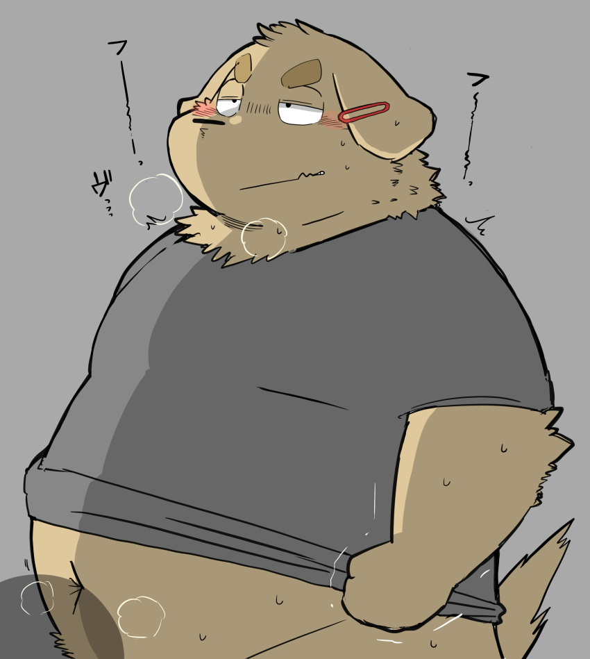 2021 absurd_res anthro belly black_nose blush canid canine canis clothing domestic_dog gayousi7 hi_res japanese_text kemono male mammal navel overweight overweight_male shirt simple_background solo text topwear