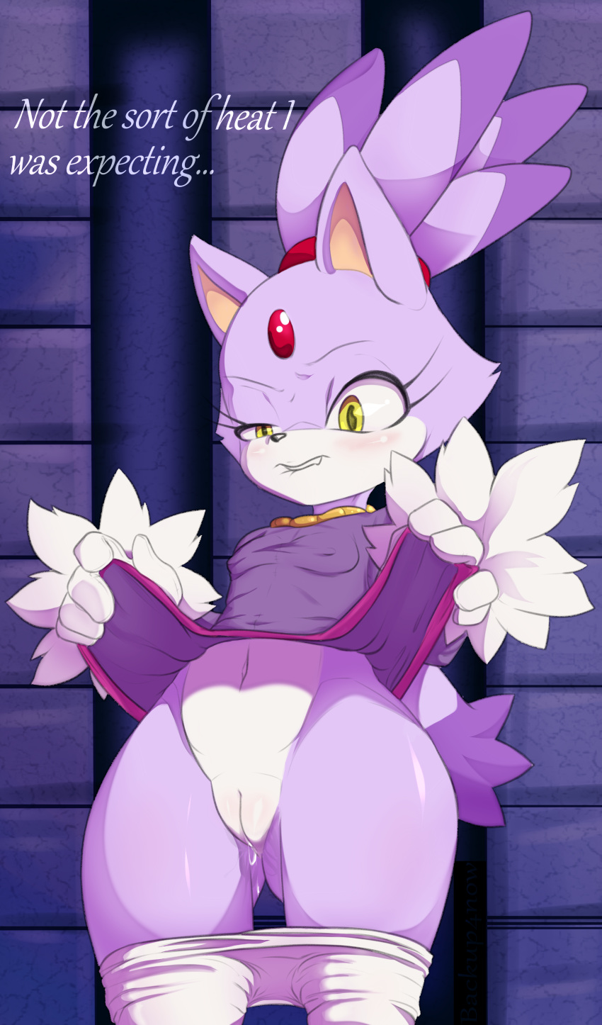 absurd_res anthro backup4now blaze_the_cat bodily_fluids clothed clothing clothing_lift female genital_fluids genitals glistening glistening_body hi_res nipple_outline pants_down partially_clothed presenting presenting_pussy purple_body pussy pussy_juice sega solo sonic_the_hedgehog_(series) text