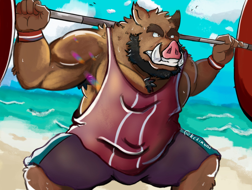 2021 absurd_res anthro beach beard bottomwear brown_body clothing cloud exercise facial_hair hi_res humanoid_hands kerim_will male mammal musclegut outside seaside shirt shorts solo suid suina sus_(pig) topwear water wild_boar workout