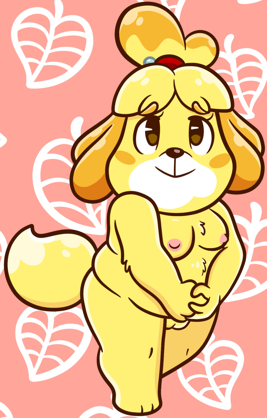 accessory animal_crossing anthro areola breasts canid canine canis chubby_female domestic_dog female genitals hair_accessory hair_tie hair_tied hi_res isabelle_(animal_crossing) mammal nintendo nipples nude pussy shih_tzu sinribbons slightly_chubby solo toy_dog video_games