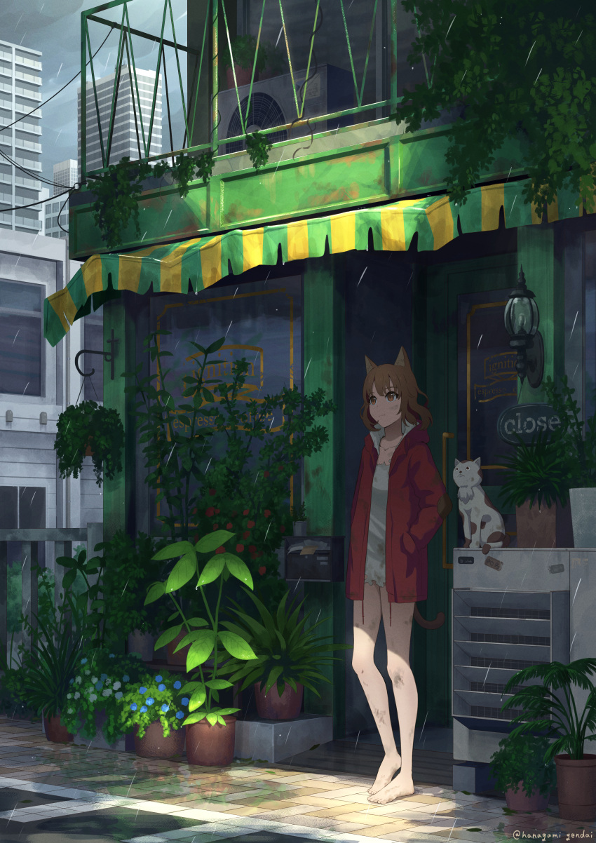 1girl absurdres animal_ears awning bare_legs barefoot brown_eyes brown_hair building cat cat_ears cat_girl city cloud cloudy_sky day dirty dirty_clothes dirty_face door dress hanagamigendai hands_in_pockets hanging_plant highres jacket light_frown looking_afar mailbox_(incoming_mail) open_clothes open_jacket original outdoors patches plant potted_plant rain red_jacket road scenery shadow short_dress sky slit_pupils solo standing storefront street sunlight twitter_username wide_shot window