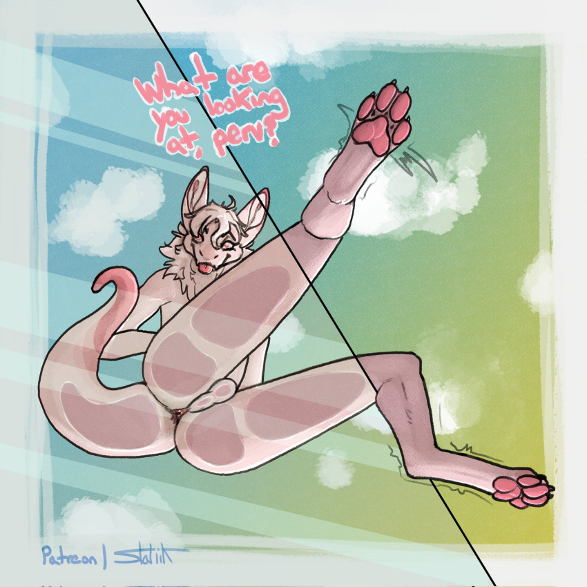 against_surface anthro backsack balls blep butt butthole_eye exhibitionism genitals hi_res kobold looking_at_viewer looking_down looking_down_at_viewer low-angle_view male mane on_glass pawpads paws pink_body pink_pawpads rear_view solo statiik_(artist) text thick_tail tongue tongue_out voyeur worm's-eye_view