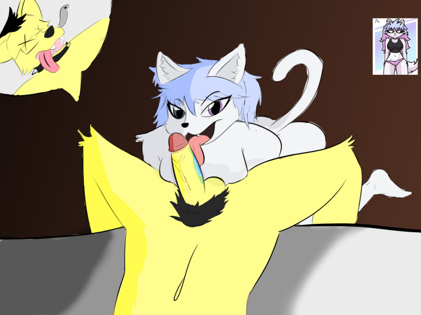anthro canid canine domestic_cat felid feline felis female fennec fennex_(fennexdafox) fennexdafox fox fur genitals licking male male/female mammal oral penile penis penis_lick sex simple_background soul_leaving tongue tongue_out white_body white_fur yellow_body yellow_fur