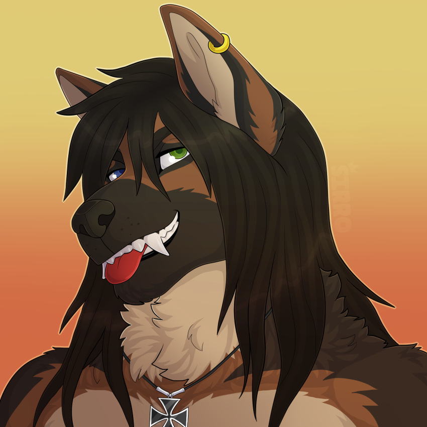 afevis canid canine canis domestic_dog ear_piercing ear_ring german german_shepherd hair herding_dog hi_res jewelry long_hair male mammal necklace pastoral_dog piercing shepherd