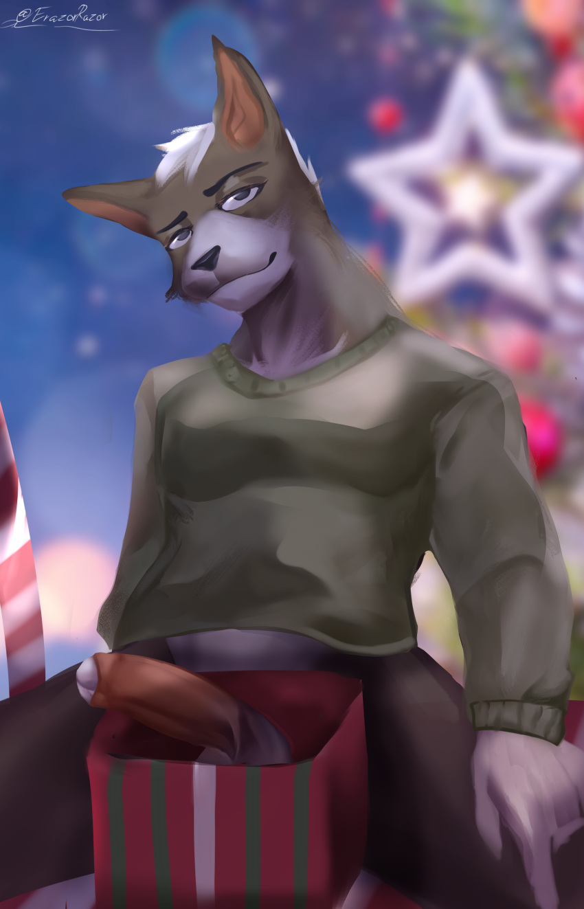 absurd_res anthro canid canine canis christmas clothed clothing dick_in_a_box erazorrazor fur genitals gift hair hi_res holidays humanoid_genitalia humanoid_penis looking_at_viewer male male/male mammal penis smile solo sweater topwear