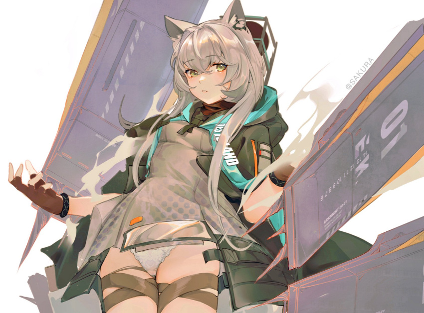 1girl animal_ear_fluff animal_ears arknights bangs black_coat blush bracelet breasts brown_gloves cat_ears coat coat_on_shoulders cowboy_shot dress eyebrows_visible_through_hair fingerless_gloves gloves green_eyes highres infection_monitor_(arknights) jewelry long_hair looking_at_viewer open_clothes open_coat panties pantyshot parted_lips rosmontis_(arknights) sakura_(1723231388) short_dress silver_hair simple_background skindentation small_breasts solo thigh_strap twitter_username underwear upskirt white_background white_panties