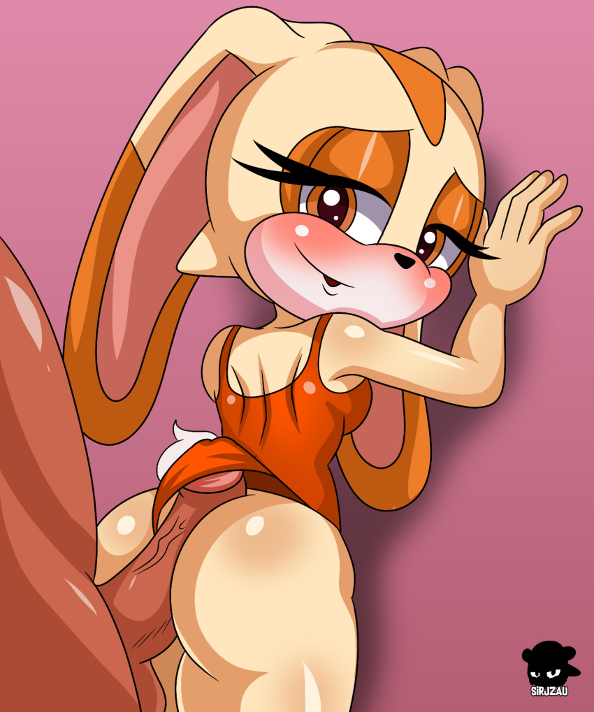 anthro big_butt big_penis breasts butt clothing cream_the_rabbit duo faceless_character faceless_male female fur genitals half-closed_eyes hi_res hot_dogging human humanoid lagomorph leporid looking_at_another looking_down male male/female mammal narrowed_eyes one-piece_swimsuit penis rabbit sega sirjzau size_difference small_breasts smaller_female sonic_the_hedgehog_(series) swimwear tan_body tan_fur