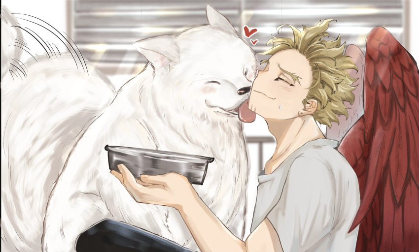 1boy barururunru blonde_hair blush boku_no_hero_academia bowl closed_eyes closed_mouth dog feathered_wings hawks_(boku_no_hero_academia) heart highres licking licking_another's_face light_blush male_focus messy_hair pet_bowl raised_chin red_wings shirt short_hair short_sleeves smile t-shirt tail tail_wagging tongue tongue_out white_dog white_shirt window_shade wings