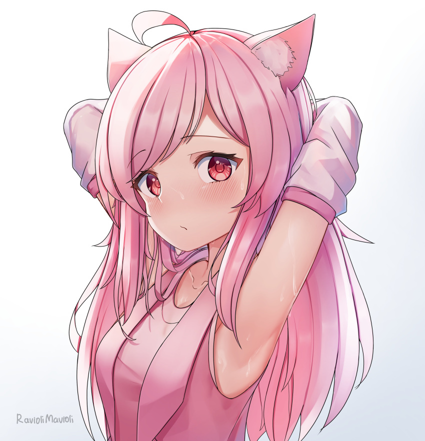 1girl absurdres animal_ears armpits arms_up bangs blush cat_ears child closed_mouth cowlick frown highres long_hair looking_at_viewer pink_hair presenting_armpit raviolimavioli red_eyes simple_background solo sweat white_background