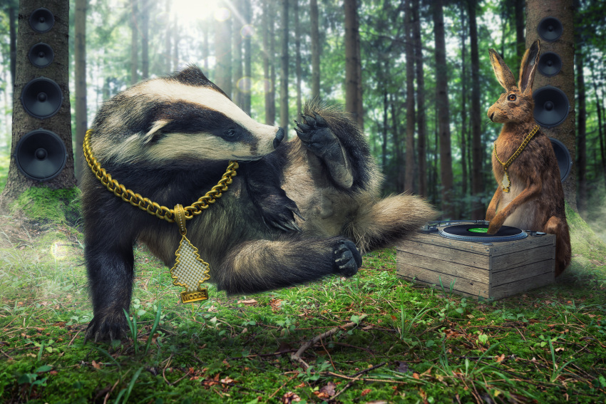 ambiguous_gender badger bling breakdancing hare hi_res john_wilhelm lagomorph leporid male mammal mustelid musteline