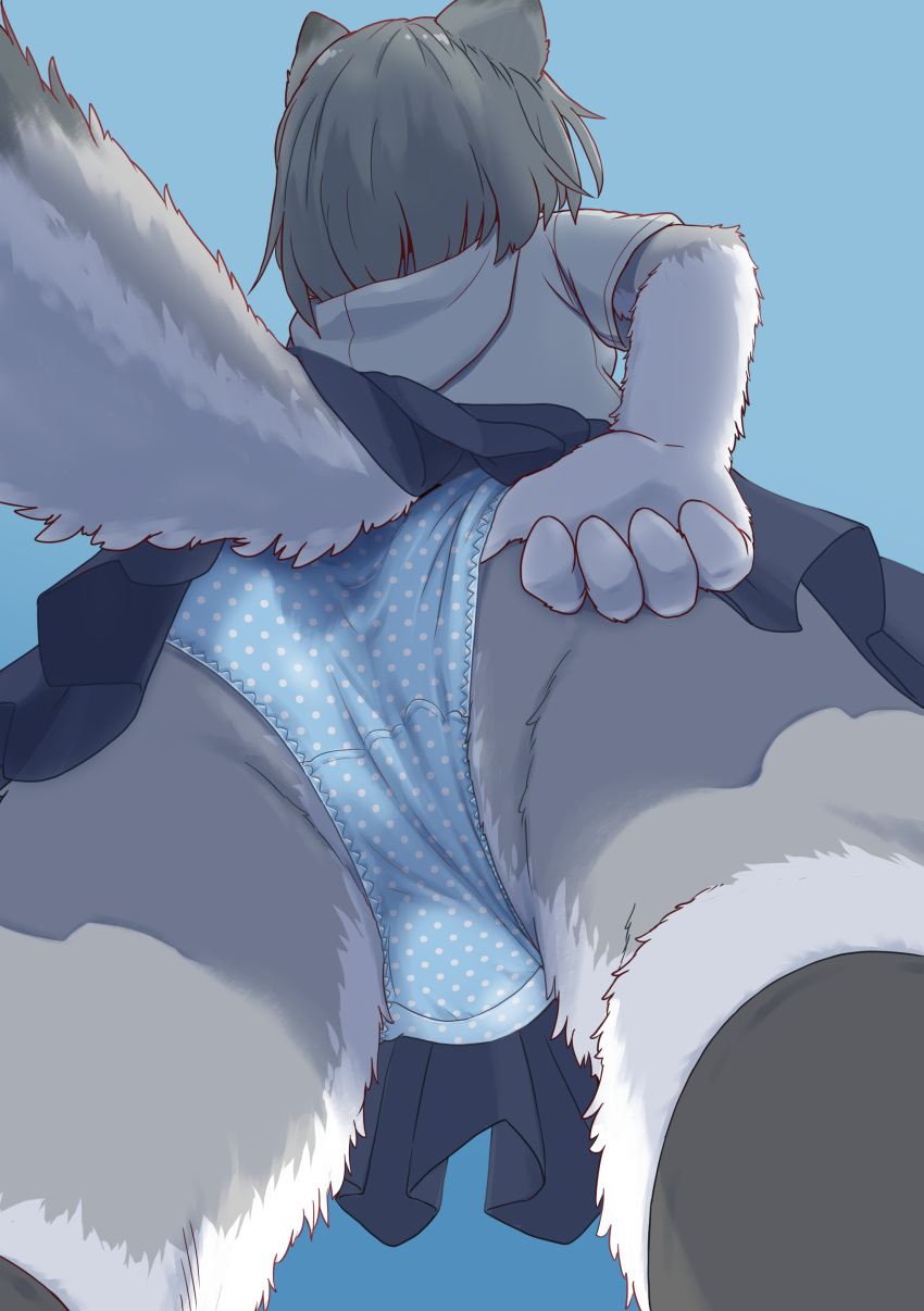 2021 5_fingers absurd_res anthro blue_background bottomwear butt canid canine canis clothed clothing clothing_pull female fingers fluffy fluffy_tail fur gloves_(marking) grey_body grey_fur grey_hair hair hi_res kemono koorinezumi leg_markings legwear low-angle_view mammal markings multicolored_body multicolored_fur panties shirt short_hair simple_background skirt socks_(marking) solo thigh_highs topwear two_tone_body two_tone_fur two_tone_tail underwear upskirt white_body white_fur wolf worm's-eye_view