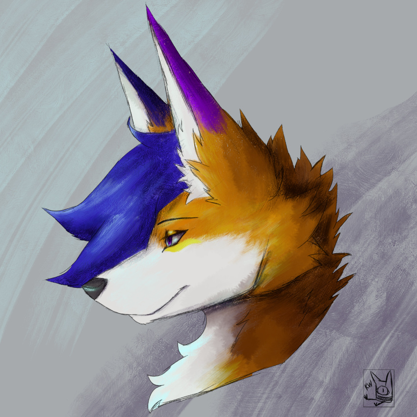 anthro blue_hair canid canine digital_media_(artwork) fox foxih_(foxihfox) fur hair hi_res kiba_winchester male mammal red_fox smile solo