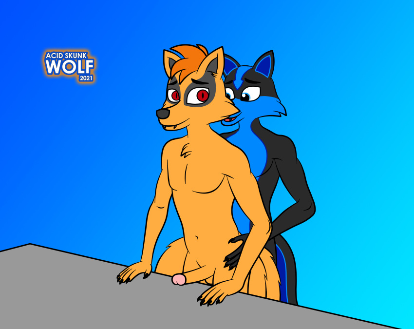 acidskunkwolf anal anal_penetration anthro balls canid canine canis duo fox fur furniture genitals hi_res hybrid male male/male mammal mephitid nude orange_body orange_fur penetration penis skunk sukookami_(acidskunkwolf) table wolf