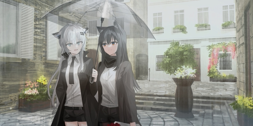 2girls absurdres alternate_costume animal_ear_fluff animal_ears arknights black_hair black_necktie black_shorts building chihuri collared_shirt flower flower_pot grey_eyes hair_ornament hairclip highres holding holding_umbrella lappland_(arknights) long_hair multiple_girls necktie outdoors rain shirt shorts stairs stone_stairs stone_walkway texas_(arknights) umbrella white_shirt wolf_ears wolf_girl yellow_eyes