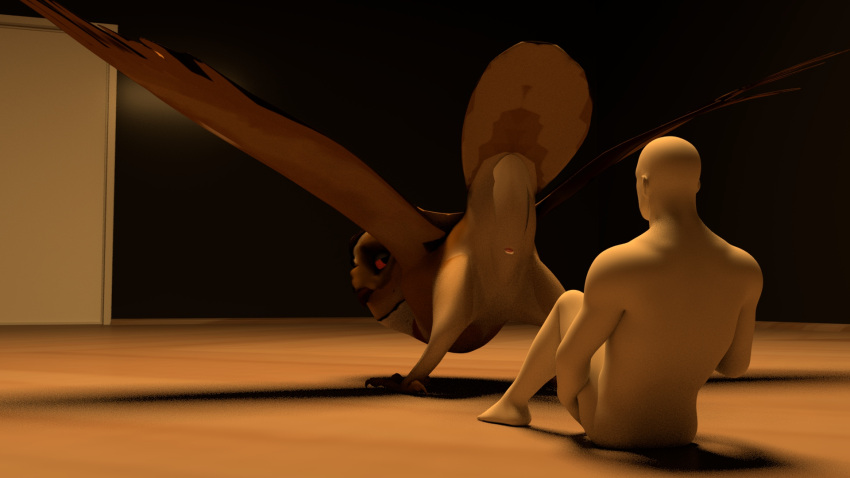 16:9 3d_(artwork) animal_genitalia avian barn_owl beak bird butt claws cloaca digital_media_(artwork) duo eviltyto feral genitals half-closed_eyes hi_res human male male/male mammal masked_owl narrowed_eyes owl presenting presenting_hindquarters smile smirk spread_legs spread_wings spreading teasing tytonid widescreen wings