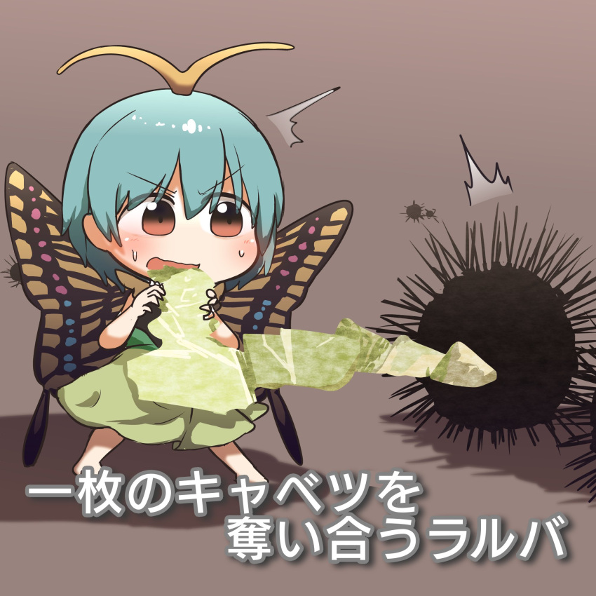 1girl animal antennae aqua_hair barefoot blush brown_background brown_eyes butterfly_wings cabbage dress eternity_larva eyebrows_visible_through_hair fairy food green_dress hair_between_eyes highres holding holding_food holding_vegetable kyoukei_usagi multicolored_clothes multicolored_dress open_mouth shadow short_hair short_sleeves simple_background single_strap solo touhou translation_request urchin vegetable wings