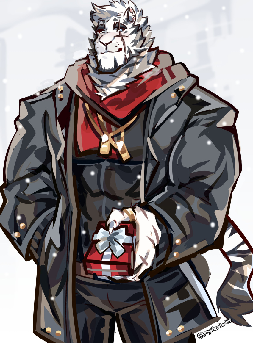 1boy absurdres alternate_costume animal_ears arknights bara box christmas furry furry_male gift gift_box gift_wrapping graysheartart highres incoming_gift looking_at_viewer male_focus mountain_(arknights) muscular muscular_male pectorals scar scar_across_eye scar_on_face short_hair smile snowing solo tiger_boy tiger_ears unfinished white_fur white_hair winter_clothes