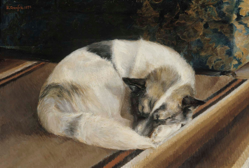 1894 19th_century absurd_res ambiguous_gender ancient_art black_ears canid canine canis curled_up detailed_background domestic_dog eyes_closed feral fur hi_res mammal multicolored_body multicolored_fur nude oil_painting_(artwork) painting_(artwork) public_domain signature sigrid_granfelt solo traditional_media_(artwork) white_body white_fur