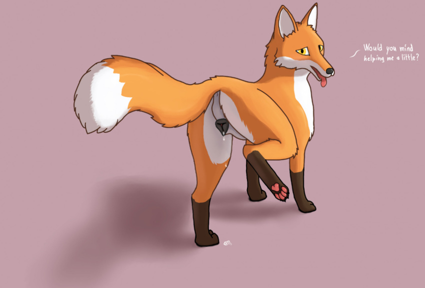 anatomically_correct anatomically_correct_genitalia anatomically_correct_pussy animal_genitalia animal_pussy anus bodily_fluids brown_body brown_fur canid canine canine_pussy dialogue dripping dripping_pussy female feral fox fur genital_fluids genitals hiked_leg knot kyuffel mammal nude open_mouth orange_body orange_fur pawpads paws perineum pink_pawpads pussy pussy_juice question raised_leg simple_background solo talking_feral talking_to_viewer teeth tongue tongue_out white_body white_fur yellow_eyes